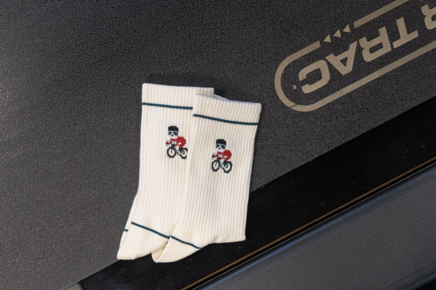 Cycling Panda Socks