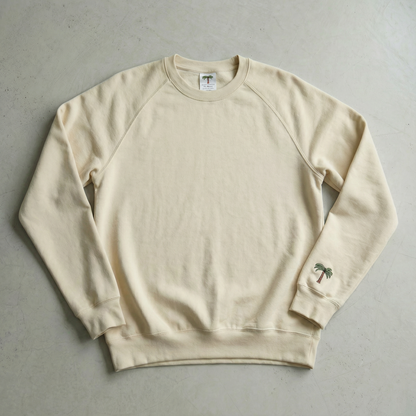 Terry Cotton Raglan Crew Sweatshirt